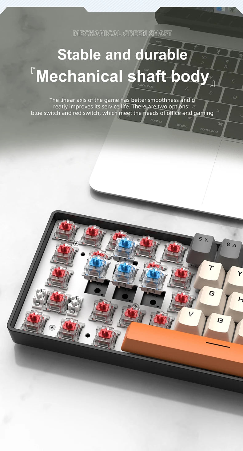 Pulse 60 Keyboard: Mechanical RGB Gaming Edition